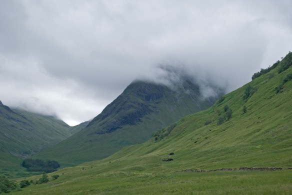 Glencoe 8