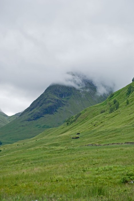 Glencoe 7