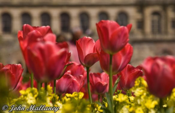 Cliveden House Hotel in background