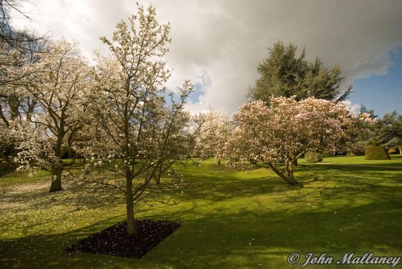 Ascott House gardens
