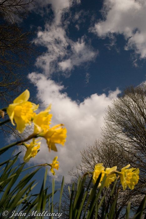 Ascott House gardens