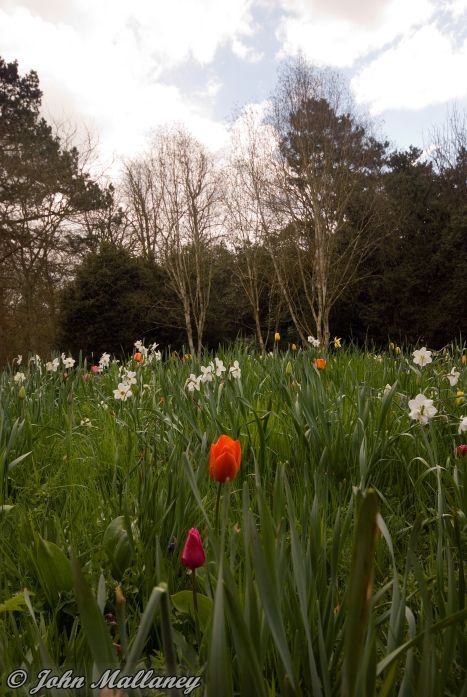 Ascott House gardens