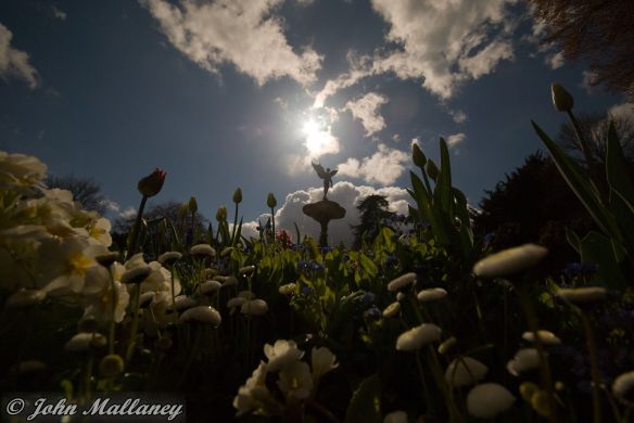 The Sunken Garden, Ascott House The Sunken Garden, Ascott House