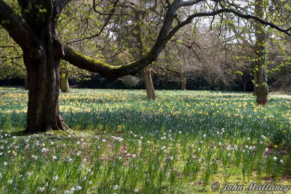 Ascott House gardens