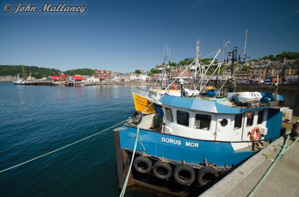 Oban harbour