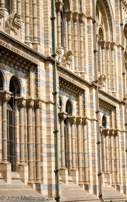 Natural History Museum
